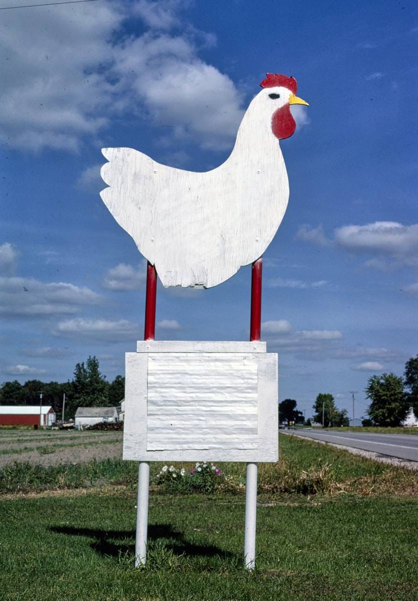 Historic Photo : 1988 Jacoby and Son Chicken sign, Wisner, Michigan | Margolies | Roadside America Collection | Vintage Wall Art :