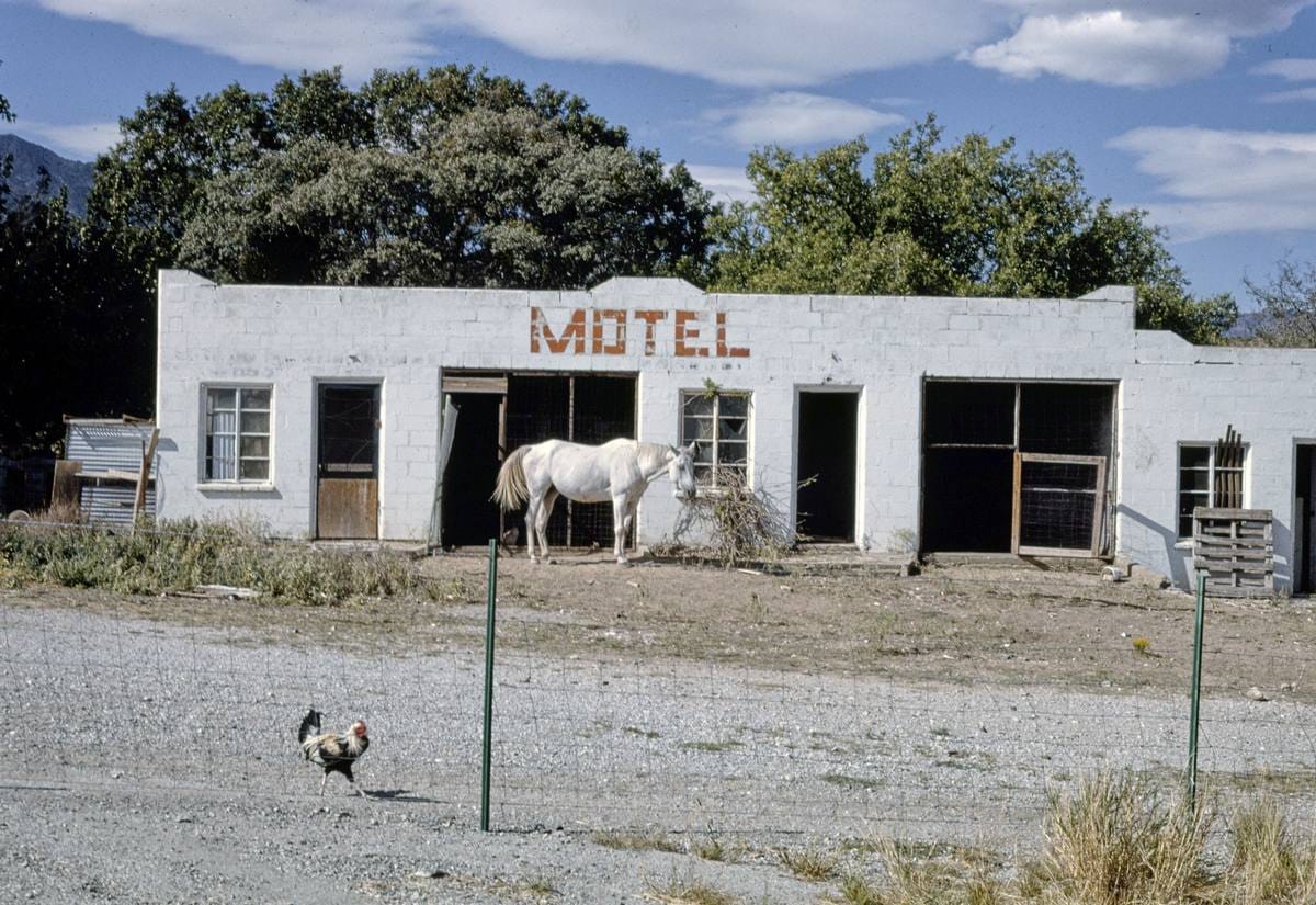 Historic Photo : 1993 Motel near Nickel Creek, Nickel Creek, Texas | Margolies | Roadside America Collection | Vintage Wall Art :