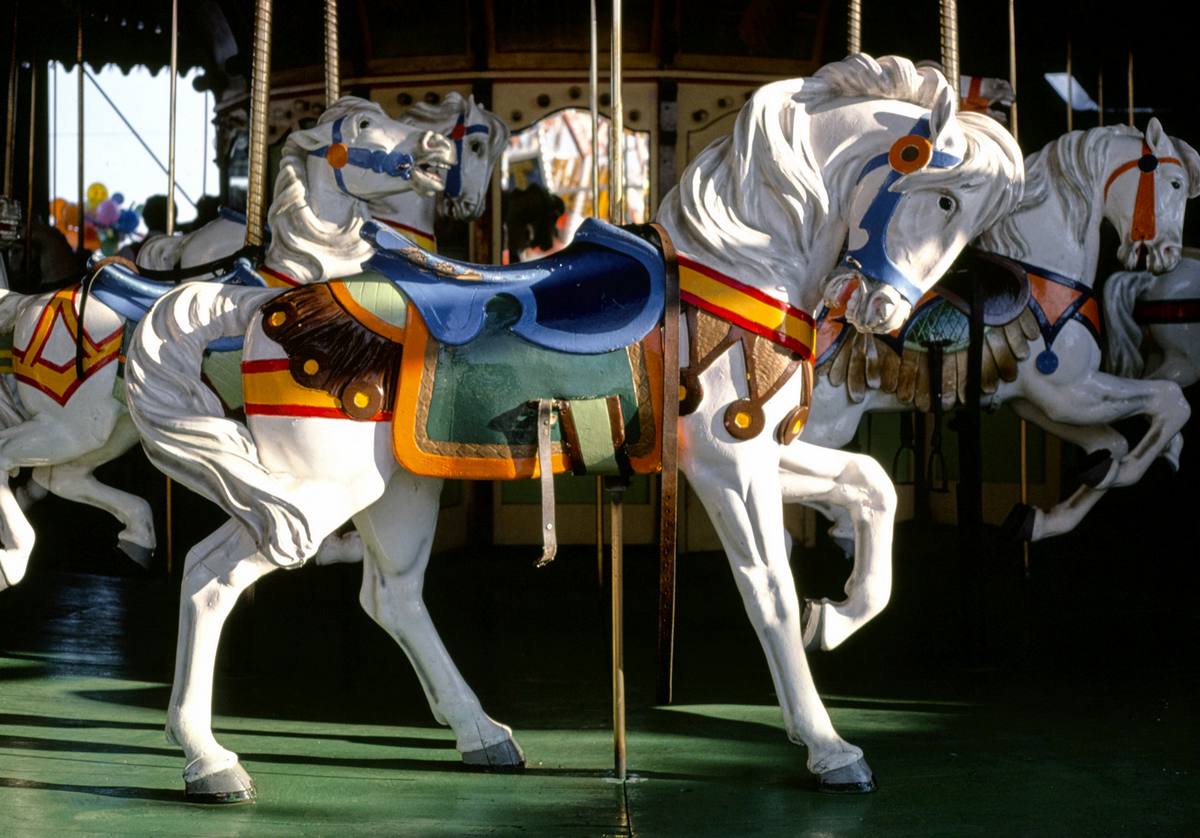 Historic Photo : 1978 Carousel horse, Ocean City, New Jersey | Margolies | Roadside America Collection | Vintage Wall Art :