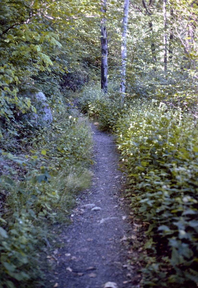 Historic Photo : 1978 Mohonk trail, New Paltz, New York | Margolies | Roadside America Collection | Vintage Wall Art :