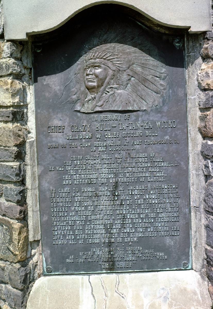 Historic Photo : 1978 "The Chief" sugar maples, Maplecrest, New York | Margolies | Roadside America Collection | Vintage Wall Art :