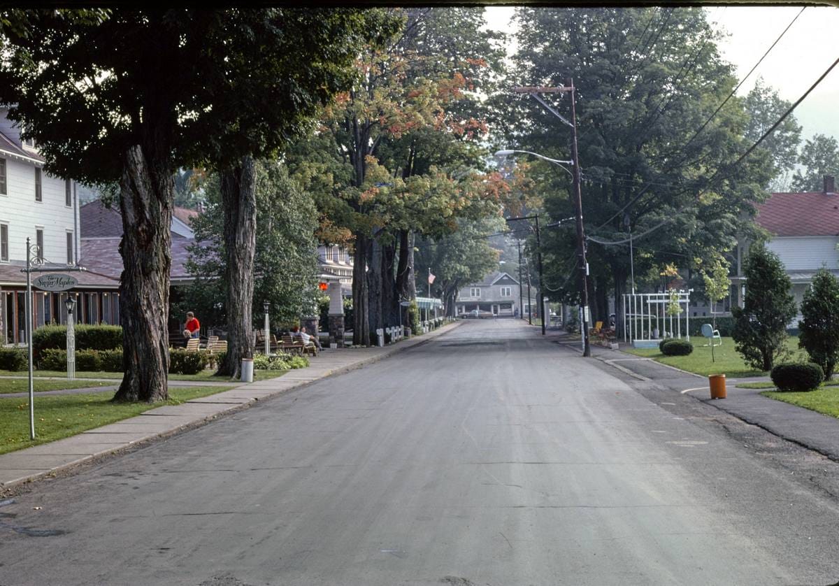 Historic Photo : 1977 Sugar Maples, Main Street, Maplecrest, New York | Margolies | Roadside America Collection | Vintage Wall Art :