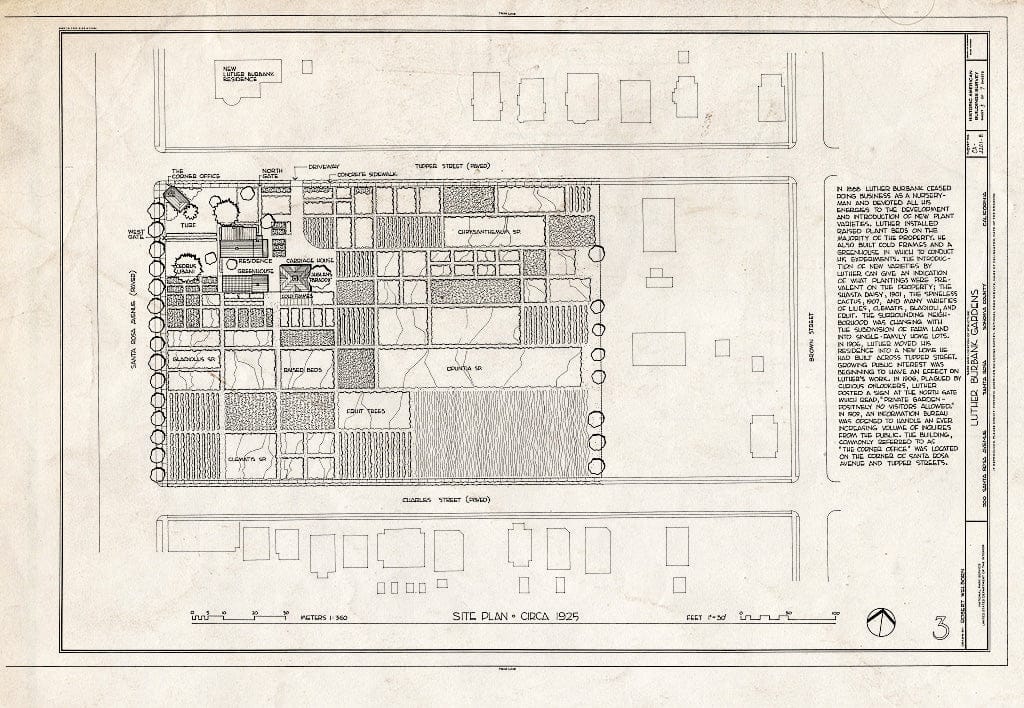Blueprint HABS Cal,49-SANRO,4-B- (Sheet 3 of 7) - Luther Burbank House, Gardens, 200 Santa Rosa Avenue, Santa Rosa, Sonoma County, CA