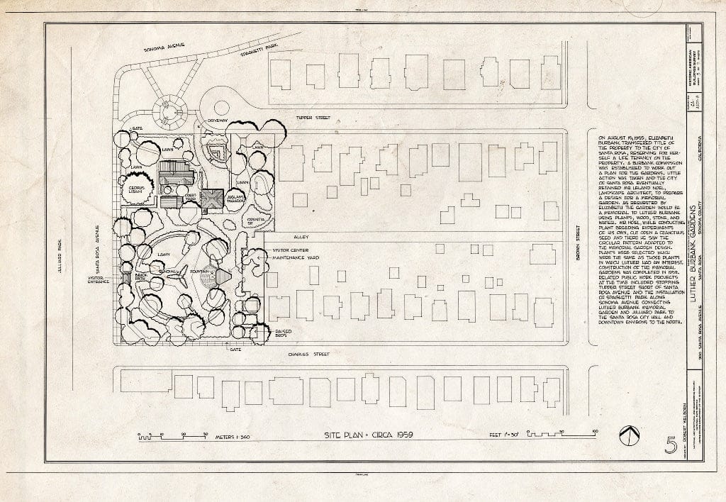 Blueprint HABS Cal,49-SANRO,4-B- (Sheet 5 of 7) - Luther Burbank House, Gardens, 200 Santa Rosa Avenue, Santa Rosa, Sonoma County, CA