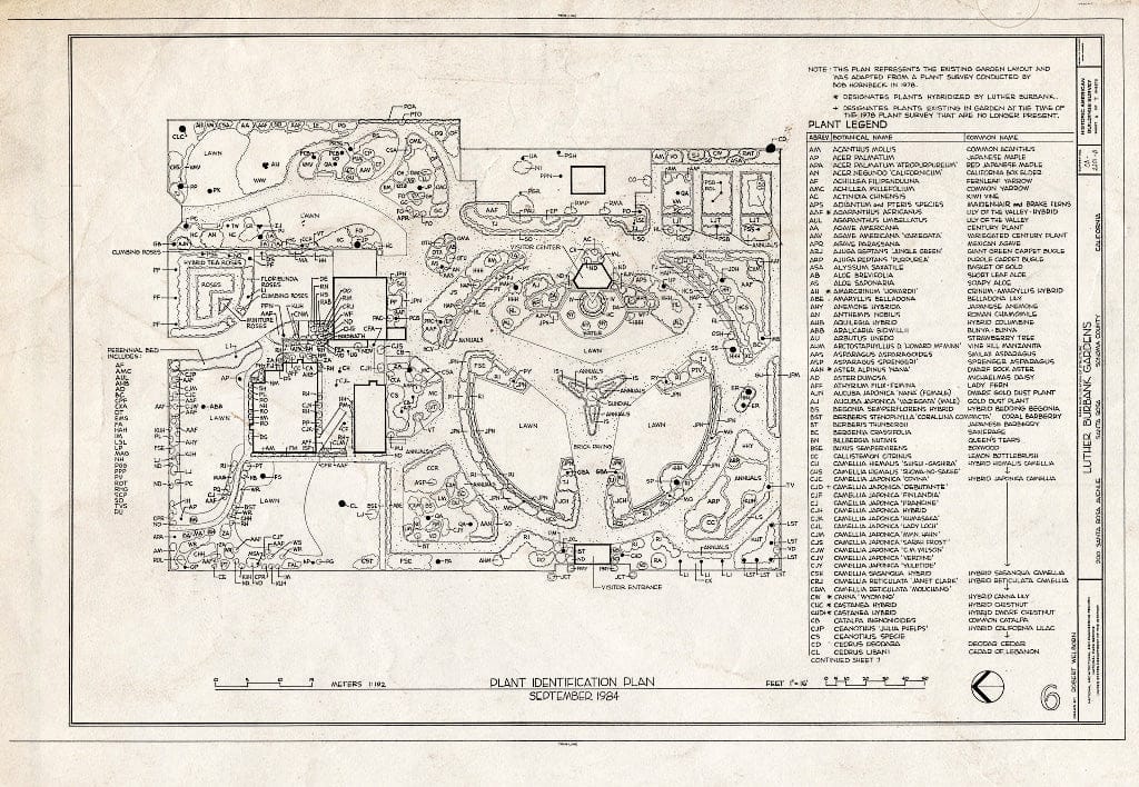 Blueprint HABS Cal,49-SANRO,4-B- (Sheet 6 of 7) - Luther Burbank House, Gardens, 200 Santa Rosa Avenue, Santa Rosa, Sonoma County, CA