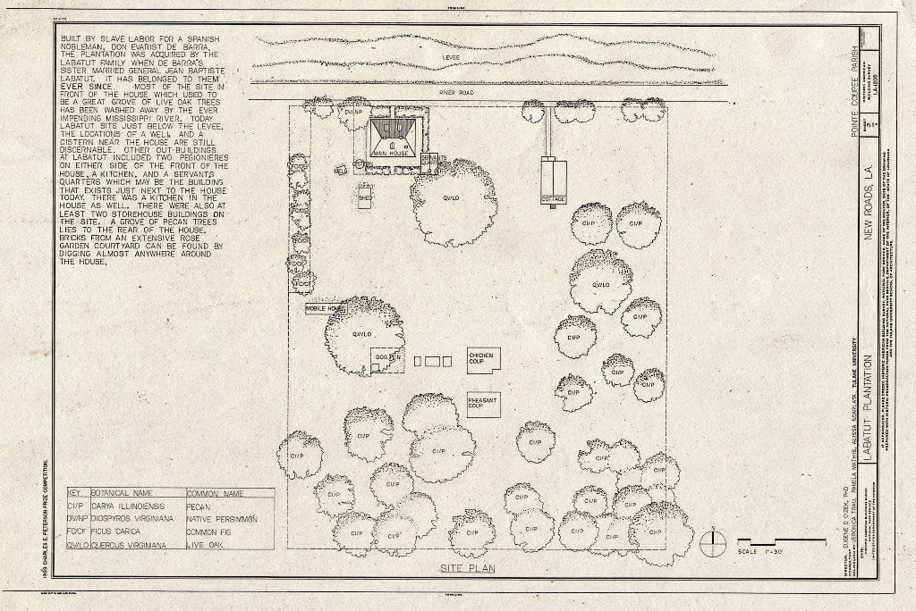 Blueprint HABS LA,39-NEWRO,2- (Sheet 3 of 3) - Labatut Plantation, 4 Miles North of New Roads on River Road Facing Mississippi River, New Roads, Pointe Coupee Parish, LA
