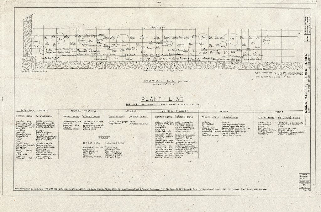 Dragable Image