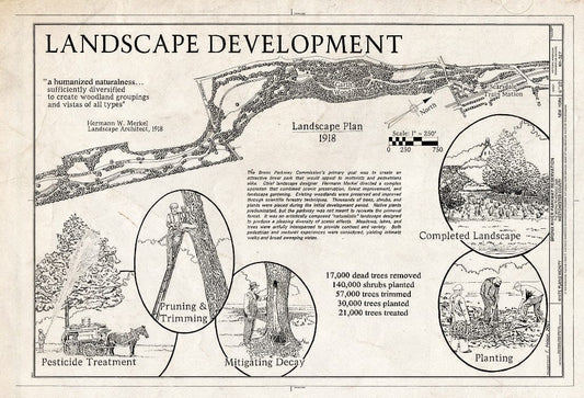 Blueprint HAER NY-327 (Sheet 6 of 22) - Bronx River Parkway Reservation, The Bronx to Kensico Dam, White Plains, Westchester County, NY
