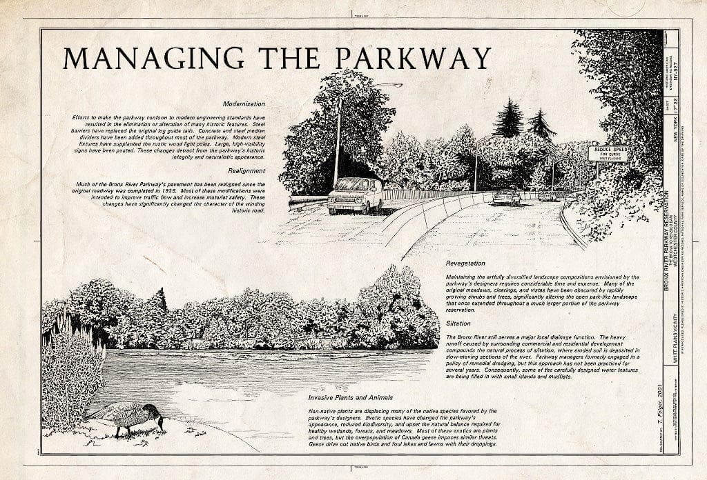 Blueprint HAER NY-327 (Sheet 17 of 22) - Bronx River Parkway Reservation, The Bronx to Kensico Dam, White Plains, Westchester County, NY