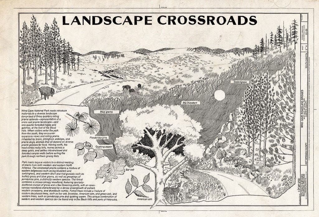 Dragable Image