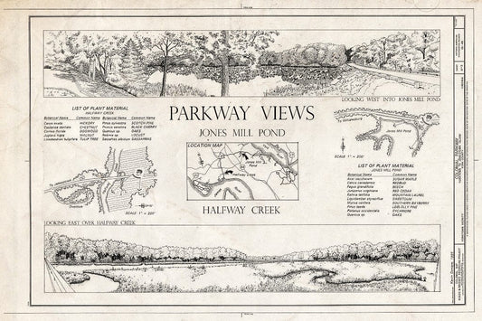 Blueprint 6. Parkway Views: Jones Mill Pond and Halfway Creek - Colonial Parkway, Yorktown to Jamestown Island, Yorktown, York County, VA