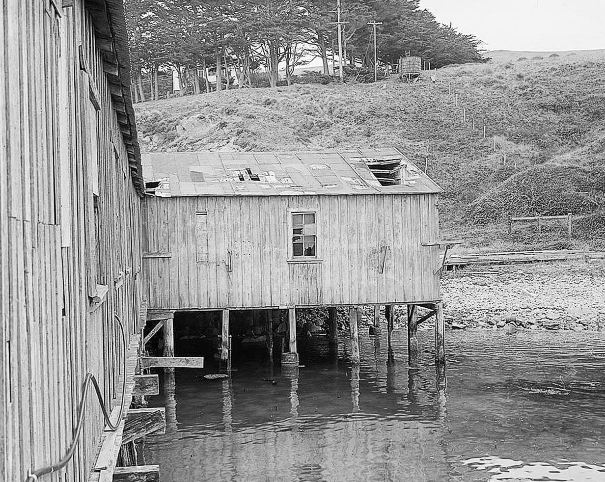 Historic Photo : F. E. Booth Company Pier, Bolinas, Marin County, CA 1 Photograph
