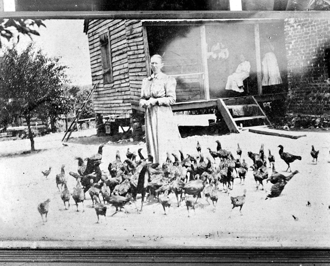 Historic Photo : Alexander-Cleveland Farm, County Road 238, Ruckersville, Elbert County, GA 6 Photograph
