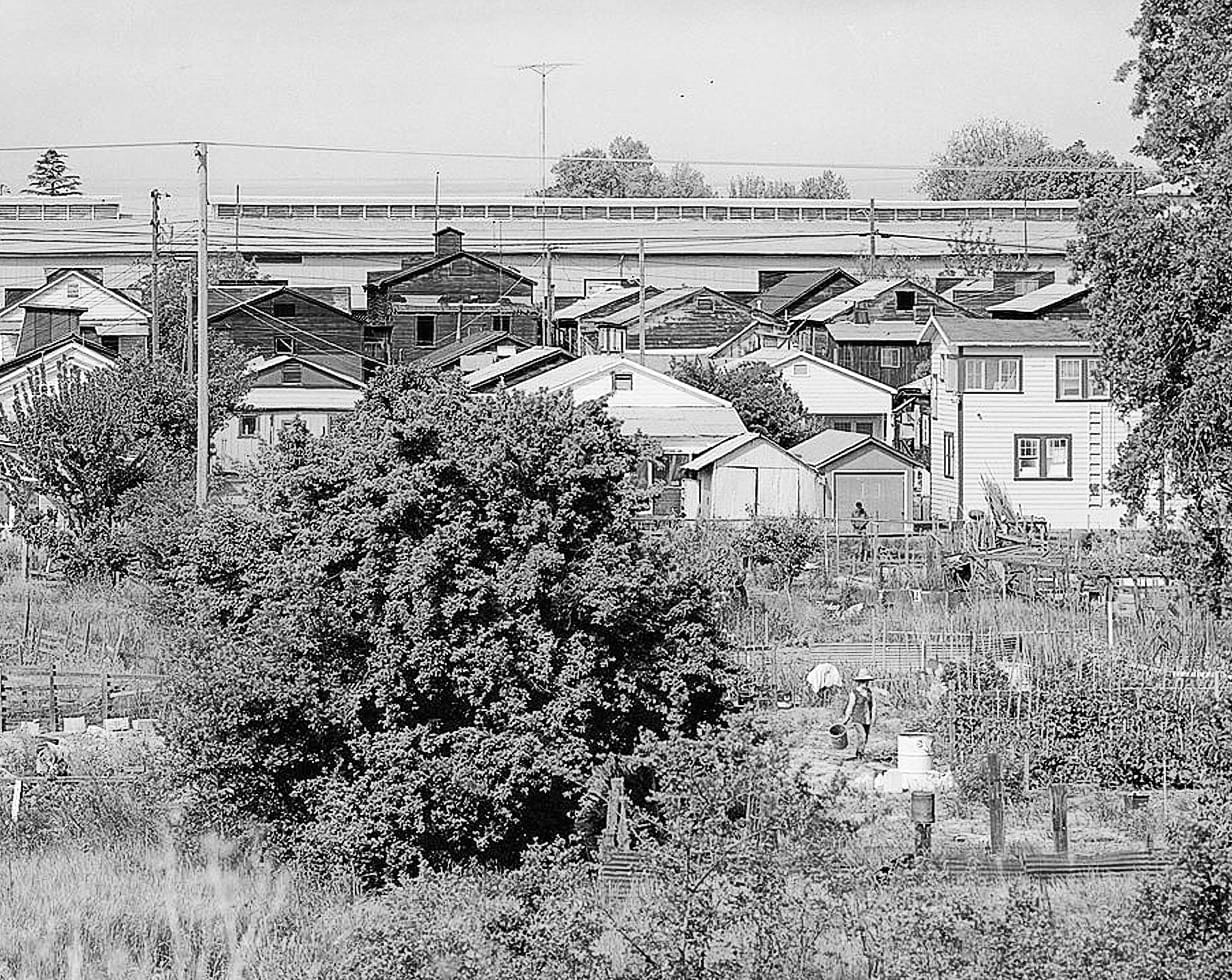 Historic Photo : Town of Locke, Locke, Sacramento County, CA 3 Photograph