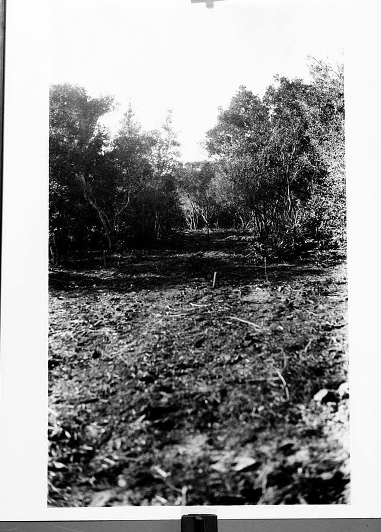 Historic Photo : Fort Pulaski, Cockspur Island, Savannah, Chatham County, GA 35 Photograph