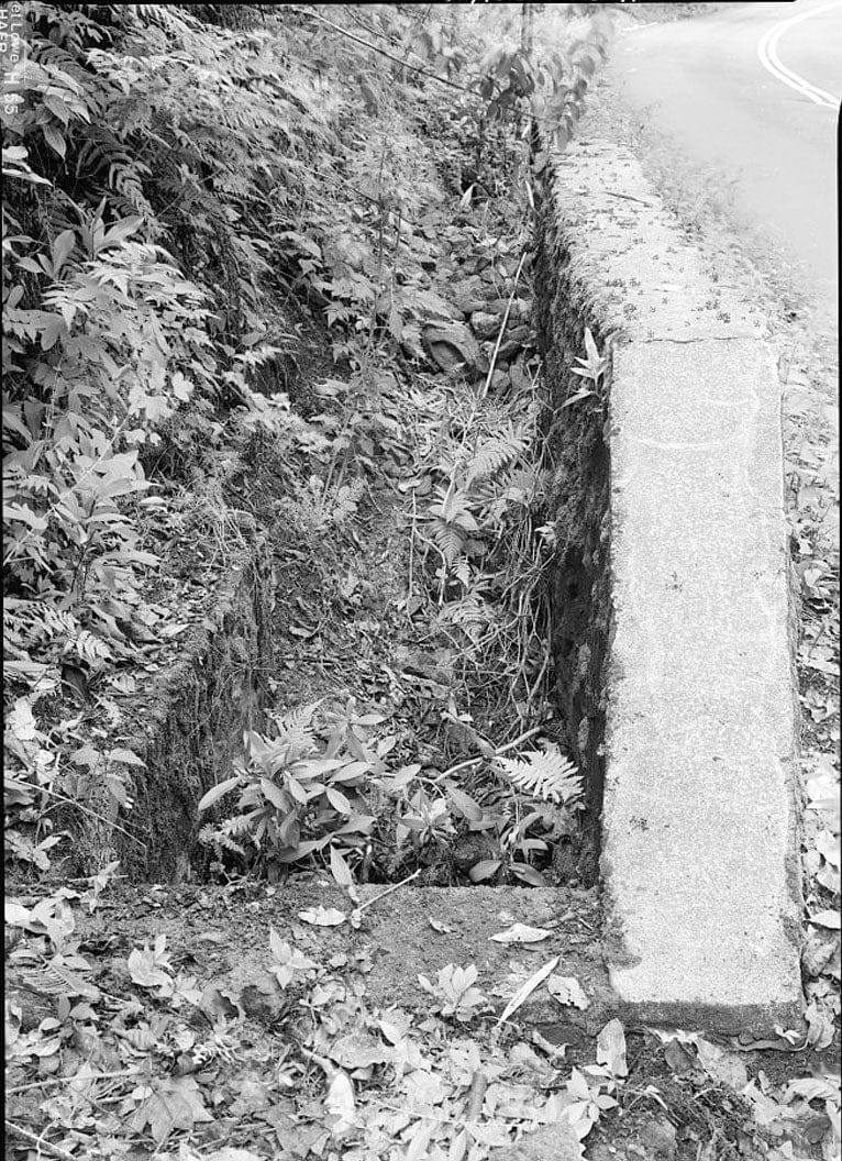 Historic Photo : Hana Belt Road, Between Haiku and Kaipahulu, Hana, Maui County, HI 51 Photograph