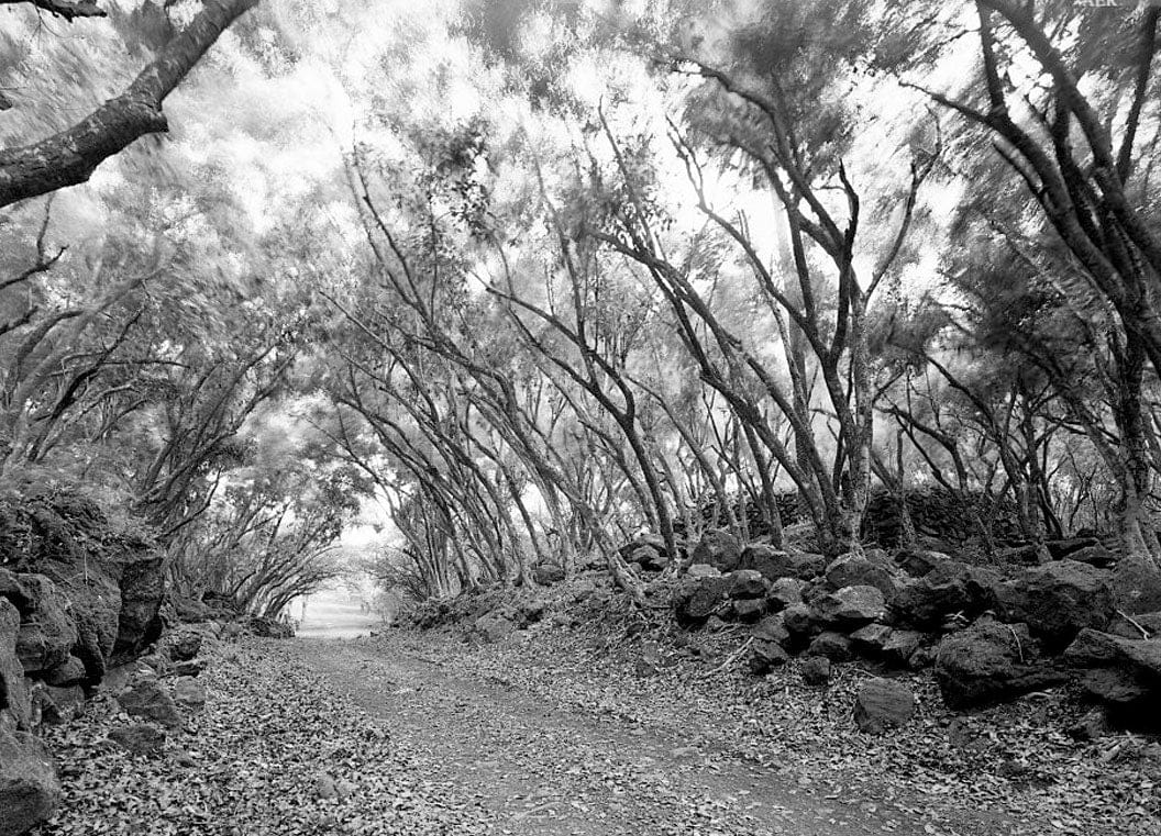 Historic Photo : Kalaupapa Water Supply System, Waikolu Valley to Kalaupapa Settlement, Island of Molokai, Kalaupapa, Kalawao County, HI 5 Photograph