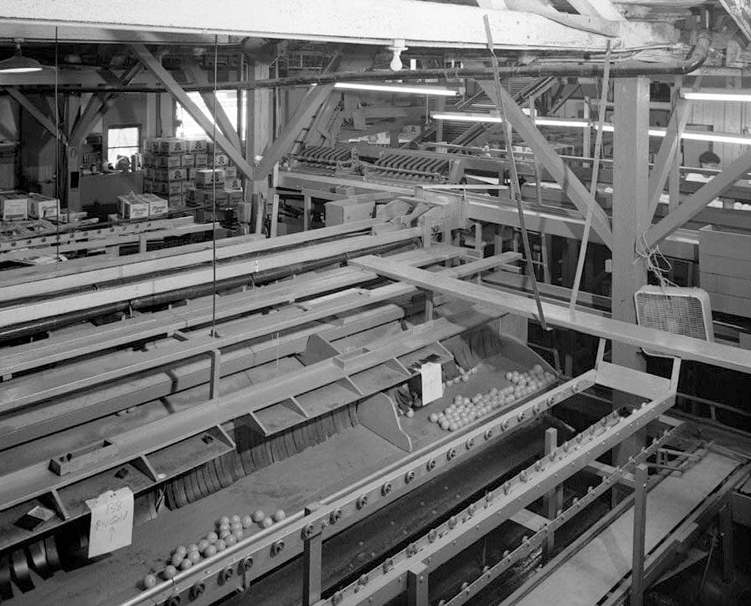 Historic Photo : National Orange Company Packing House, 3604 Commerce Street, Riverside, Riverside County, CA 3 Photograph