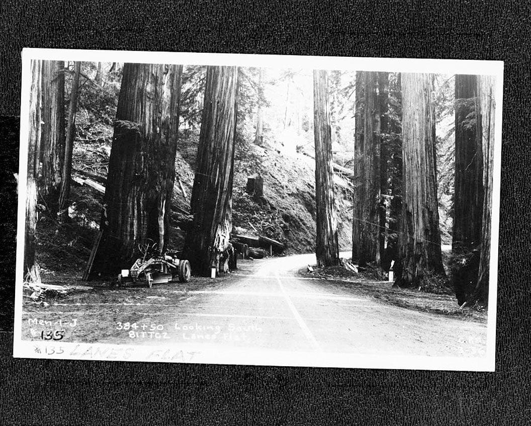 Historic Photo : Redwood National & State Parks Roads, California coast from Crescent City to Trinidad, Crescent City, Del Norte County, CA 2 Photograph