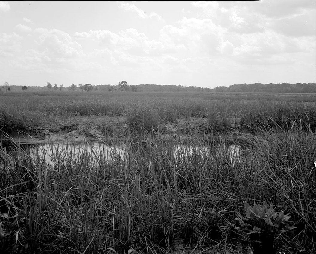 Historic Photo : Richmond Hill Plantation, Sterling Creek Marsh, East of Richmond Hill on Ford Neck Road, Richmond Hill, Bryan County, GA 8 Photograph