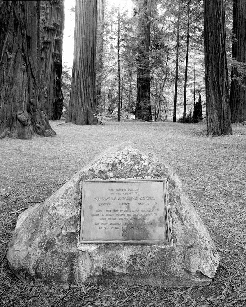 Historic Photo : Redwood National & State Parks Roads, California coast from Crescent City to Trinidad, Crescent City, Del Norte County, CA 19 Photograph