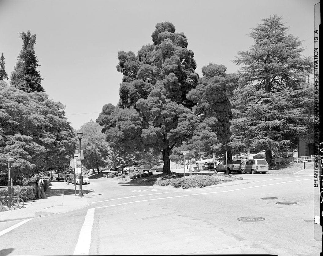 Historic Photo : Piedmont Way & the Berkeley Property Tract, East of College Avenue between Dwight Way & U.C. Memorial Stadium, Berkeley, Alameda County, CA 3 Photograph