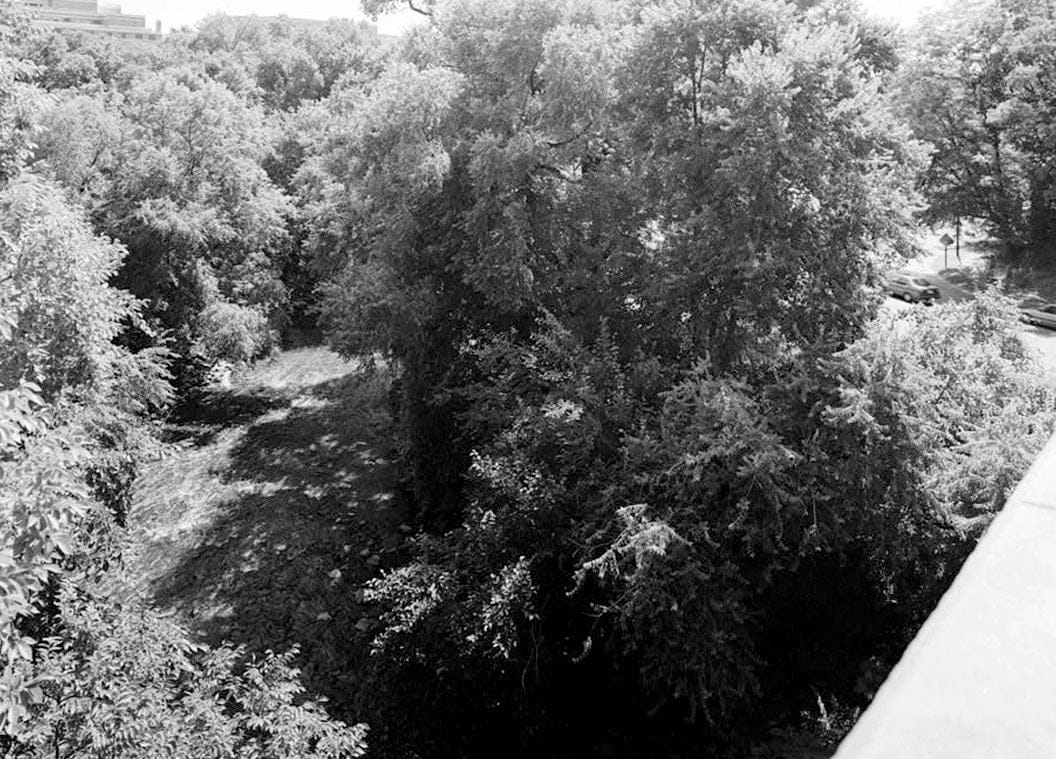 Historic Photo : Rock Creek & Potomac Parkway, Washington, District of Columbia, DC 4 Photograph