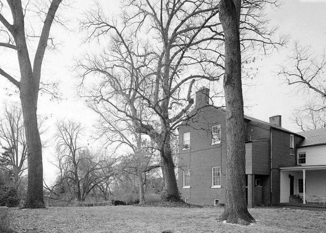 Historic Photo : Mackall Square, 1633 Twenty-ninth Street, Northwest, Washington, District of Columbia, DC 3 Photograph