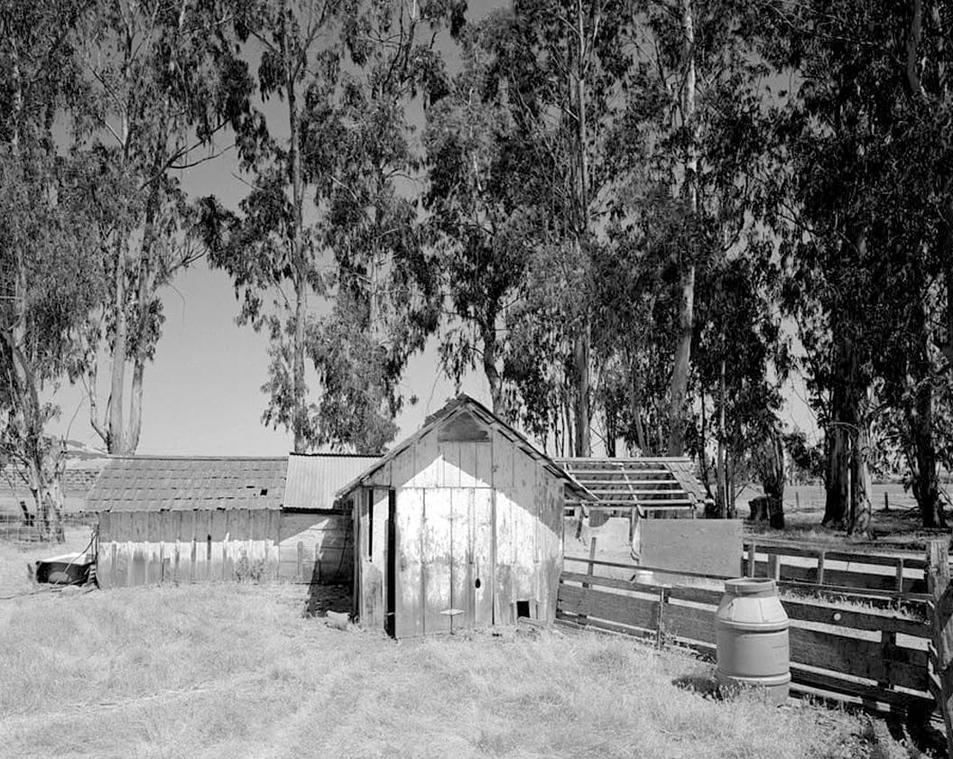 Historic Photo : Schlake Ranch, Poultry Complex, 2300 East Washington Street, Petaluma, Sonoma County, CA 1 Photograph