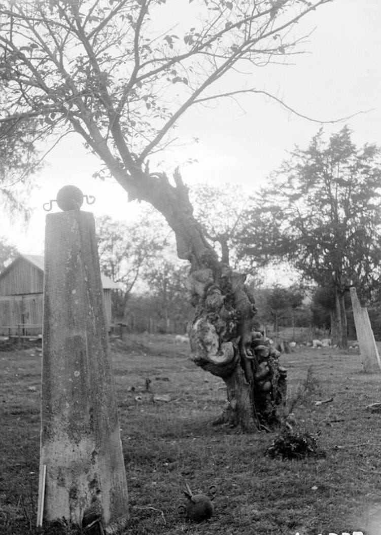 Historic Photo : Cunningham Plantation, Old Memphis Road (Gaines Trace Road), Cherokee, Colbert County, AL 7 Photograph