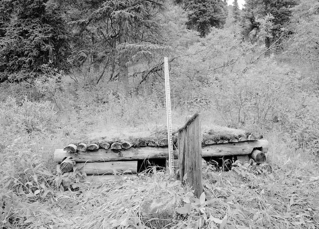 Historic Photo : Pearson Cabin, near Toklat River, Cantwell, Denali Borough, AK 6 Photograph