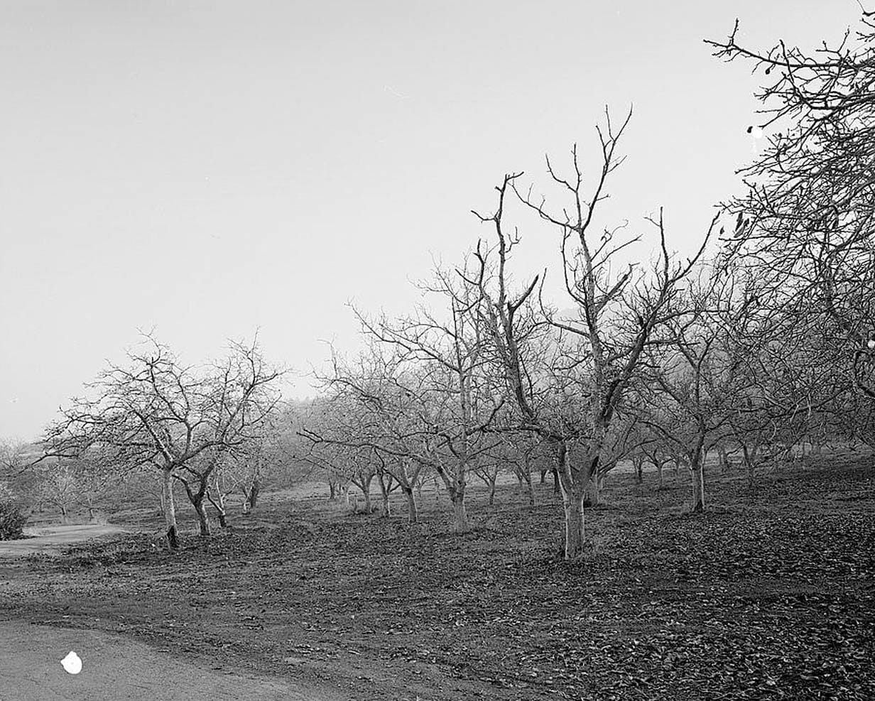 Historic Photo : Eugene O'Neill House, Kuss Road, Danville, Contra Costa County, CA 15 Photograph