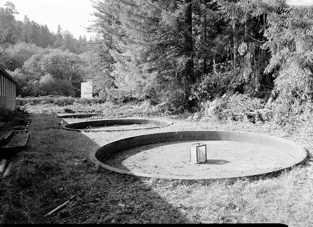 Historic Photo : Prairie Creek Fish Hatchery, Hwy. 101, Orick, Humboldt County, CA 7 Photograph