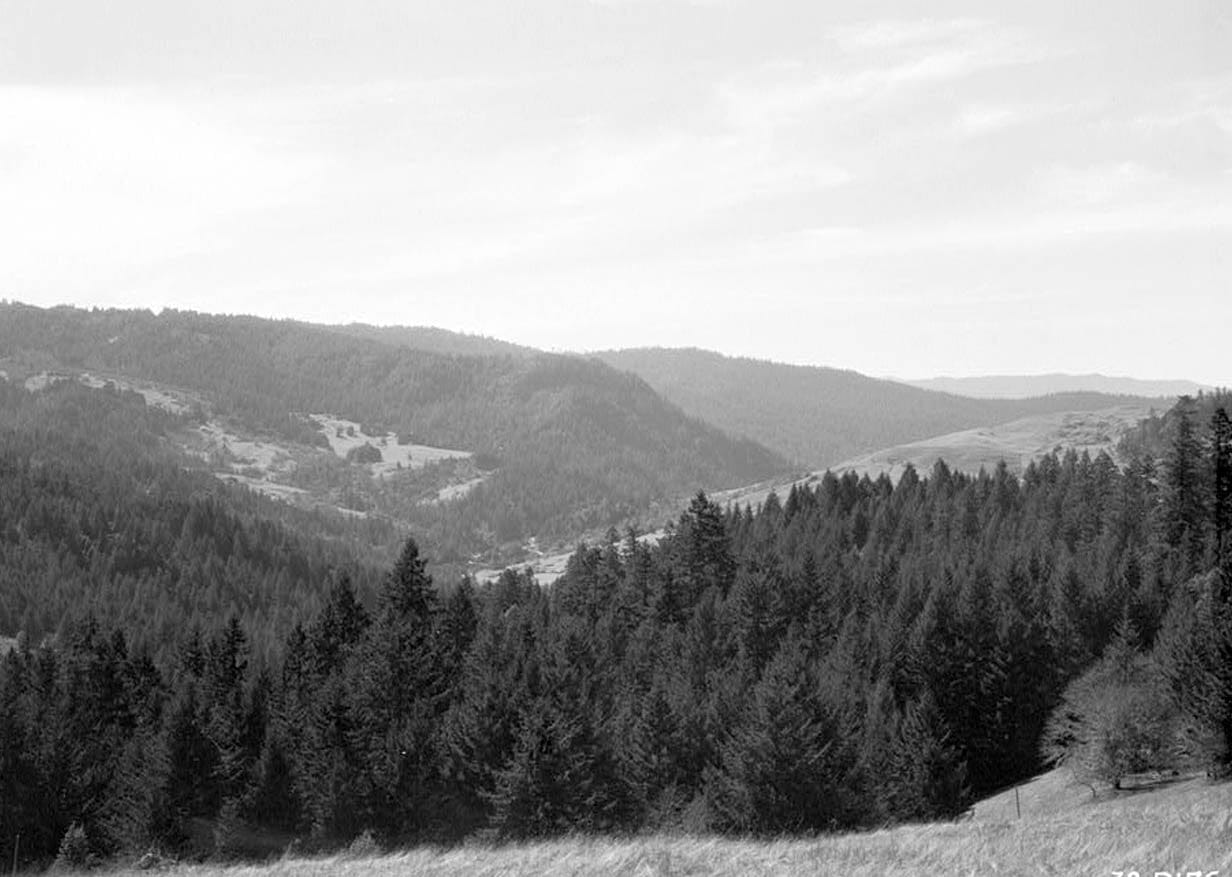 Historic Photo : Bridgeville, General View, Bridgeville, Humboldt County, CA 1 Photograph