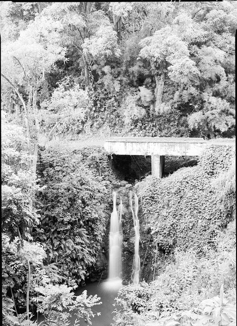 Historic Photo : Hana Belt Road, Between Haiku and Kaipahulu, Hana, Maui County, HI 53 Photograph