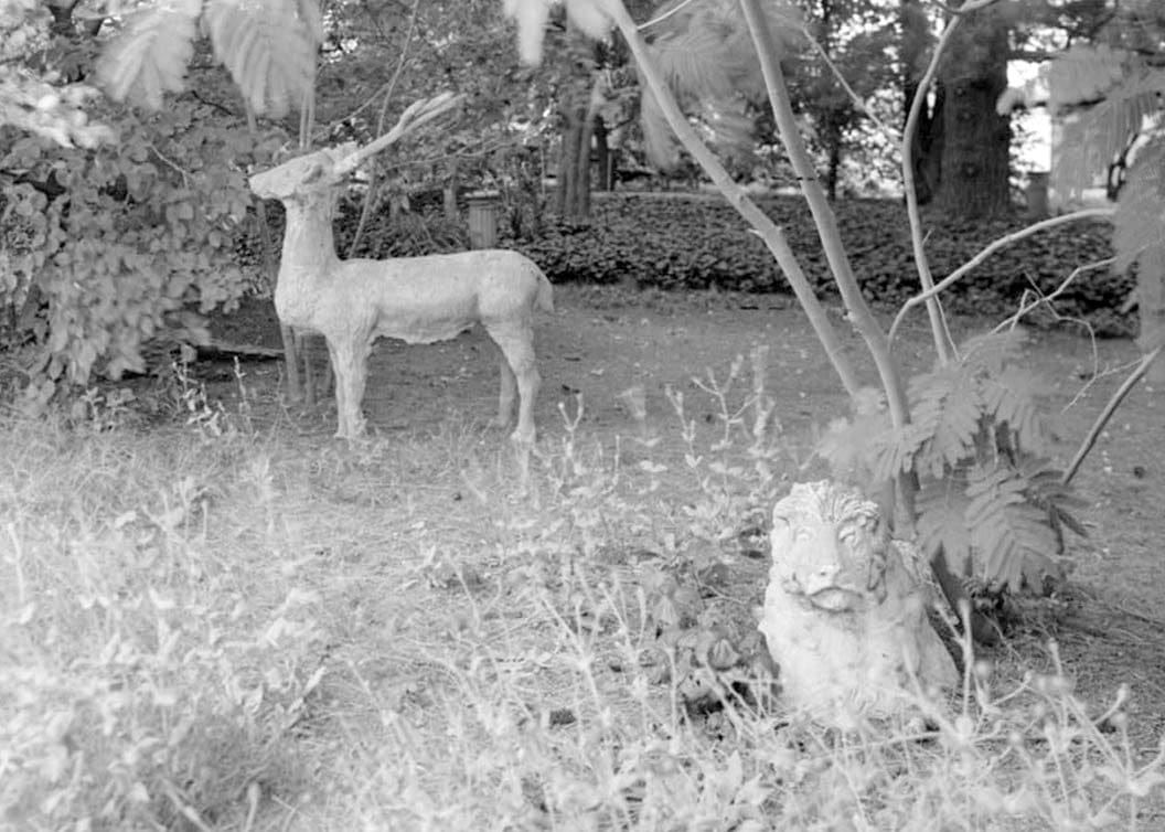 Dragable Image