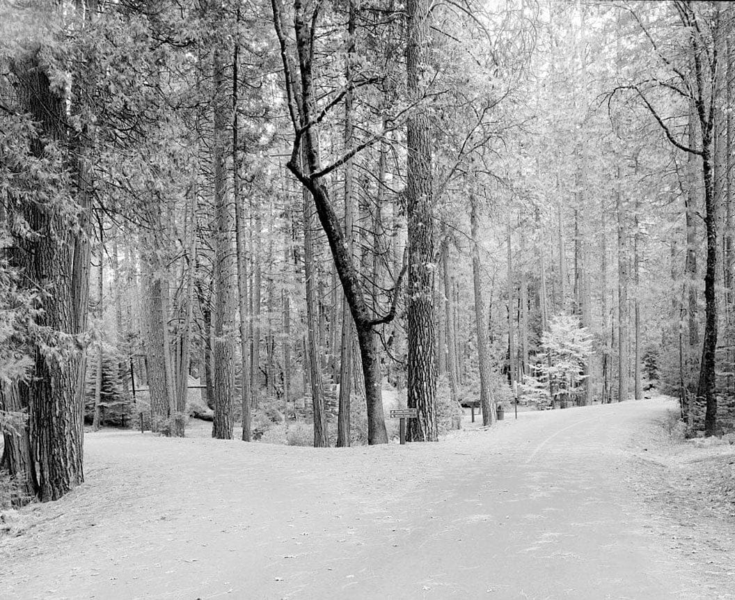 Historic Photo : Yosemite National Park Roads & Bridges, Yosemite Village, Mariposa County, CA 10 Photograph