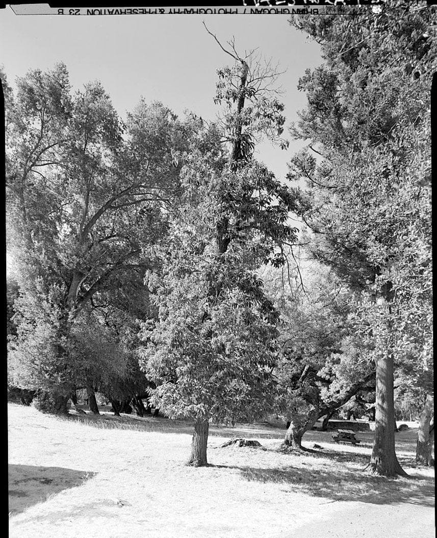 Historic Photo : Olompali State Historic Park, Mary Burdell Garden, U.S. Highway 101, Novato, Marin County, CA 4 Photograph