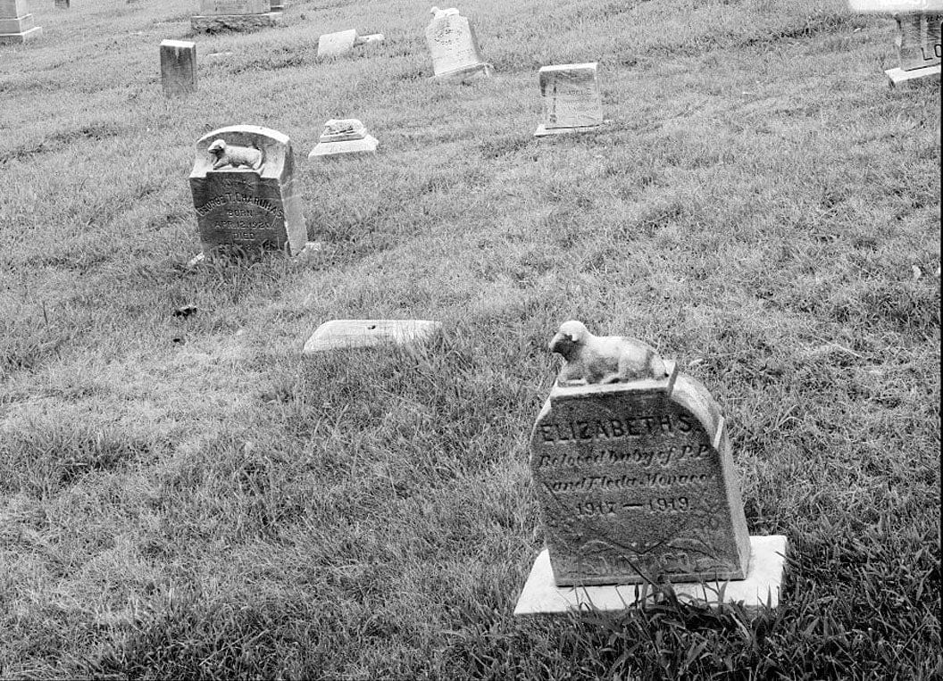 Historic Photo : Congressional Cemetery, 1801 E Street, Southeast, Washington, District of Columbia, DC 1 Photograph
