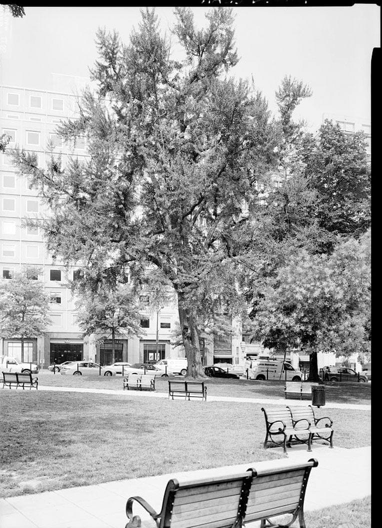 Historic Photo : Church of the Advocate, Northwest corner of Eighteenth & Diamond Streets, Philadelphia, Philadelphia County, PA 1 Photograph