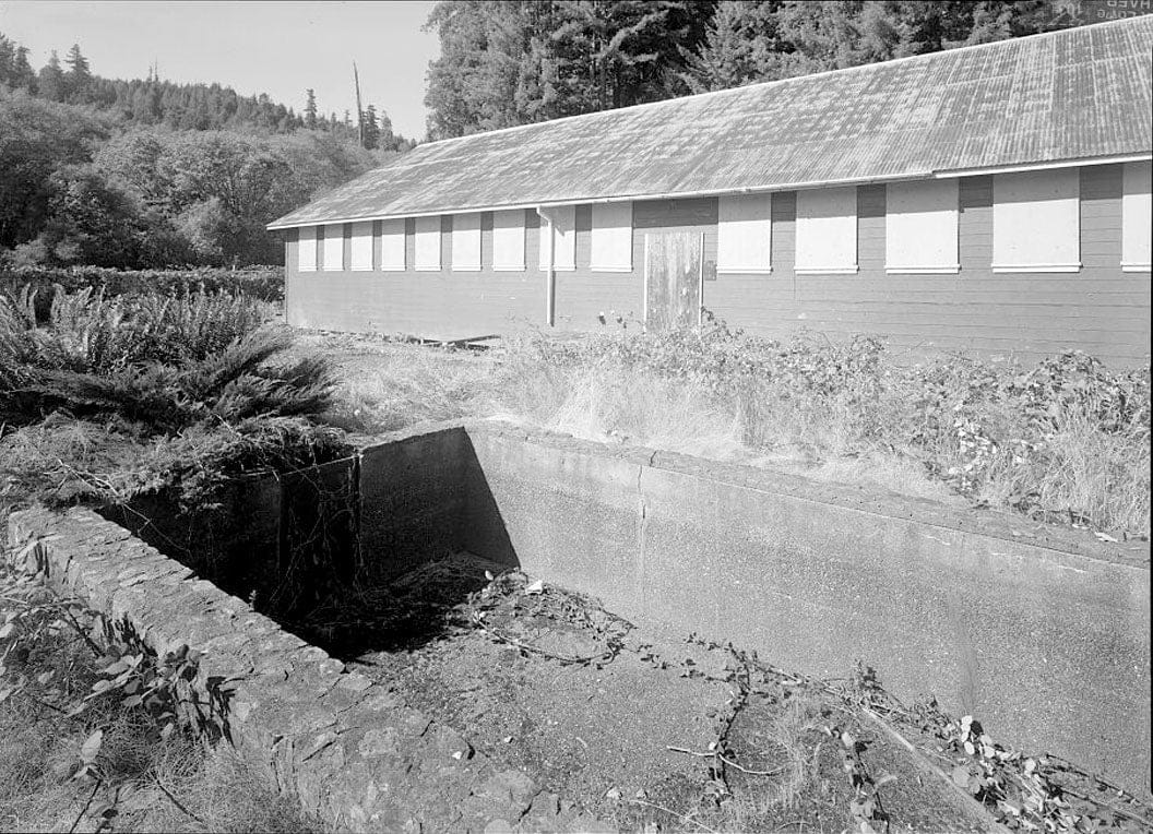 Historic Photo : Prairie Creek Fish Hatchery, Hwy. 101, Orick, Humboldt County, CA 3 Photograph