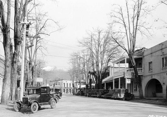 Historic Photo : Weaverville, General View, Weaverville, Trinity County, CA 1 Photograph