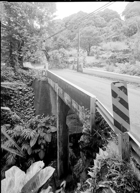 Historic Photo : Hana Belt Road, Between Haiku and Kaipahulu, Hana, Maui County, HI 56 Photograph
