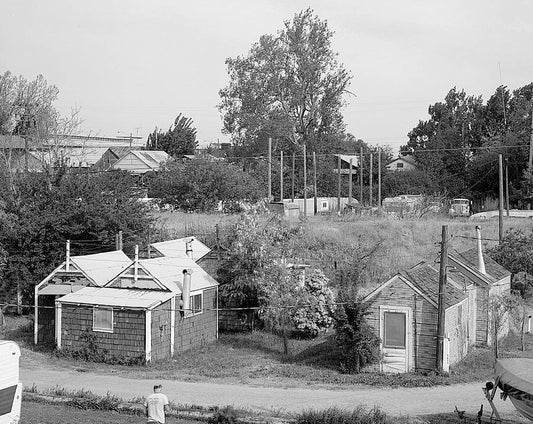 Historic Photo : Town of Locke, Locke, Sacramento County, CA 5 Photograph
