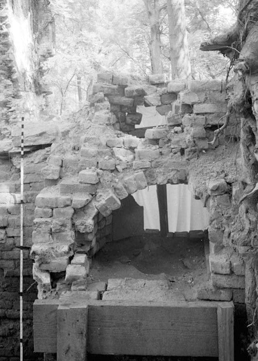 Historic Photo : General John Mason House, Analostan Island or Theodore Roosevelt Island, Washington, District of Columbia, DC 17 Photograph