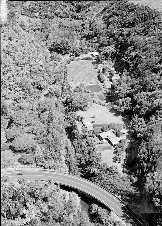 Historic Photo : Hana Belt Road, Between Haiku and Kaipahulu, Hana, Maui County, HI 57 Photograph