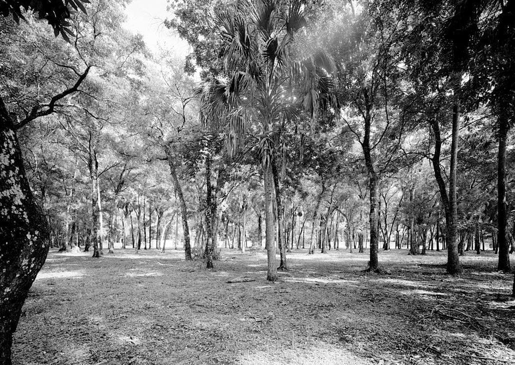Historic Photo : Kingsley Plantation, 11676 Palmetto Avenue, Jacksonville, Duval County, FL 1 Photograph