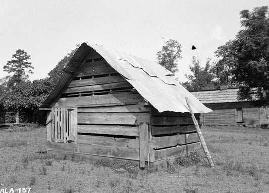 Historic Photo : Dry Forks Plantation, County Road 12, Camden, Wilcox County, AL 3 Photograph