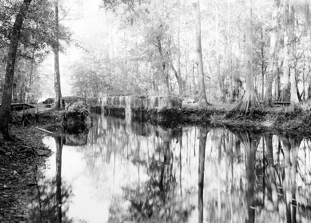 Historic Photo : Savannah & Ogeechee Barge Canal, Between Ogeechee & Savannah Rivers, Savannah, Chatham County, GA 1 Photograph