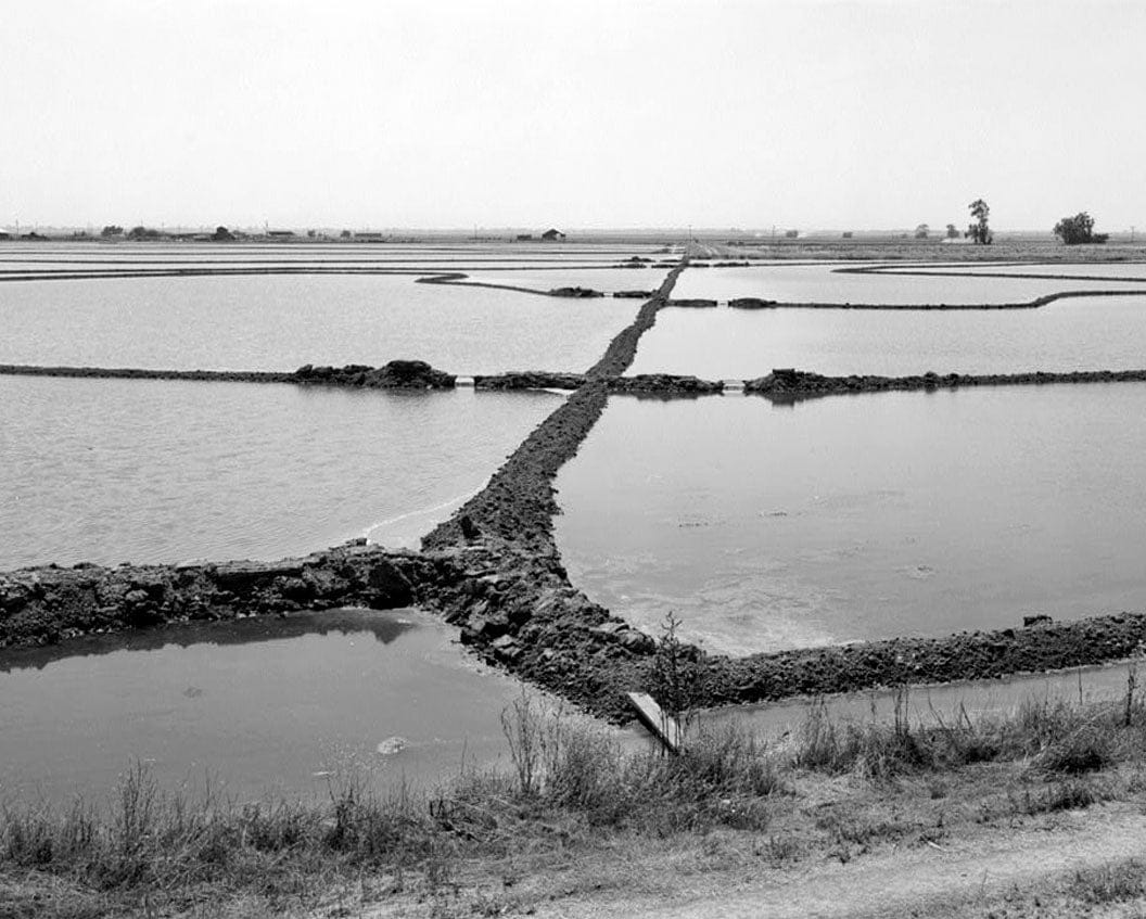 Reclamation District 1000, Northwest Sacramento County & southwest Sutter County, bisected by State Highway No. 99, Sacramento, Sacramento County, CA 10